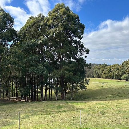 Blueberry Hills On Comleroy Farmstay - Self-Contained Cottages Kurrajong Exterior photo
