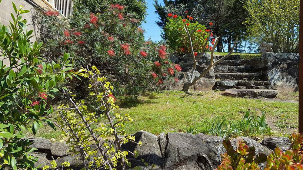 Blueberry Hills On Comleroy Farmstay - Self-Contained Cottages Kurrajong Exterior photo
